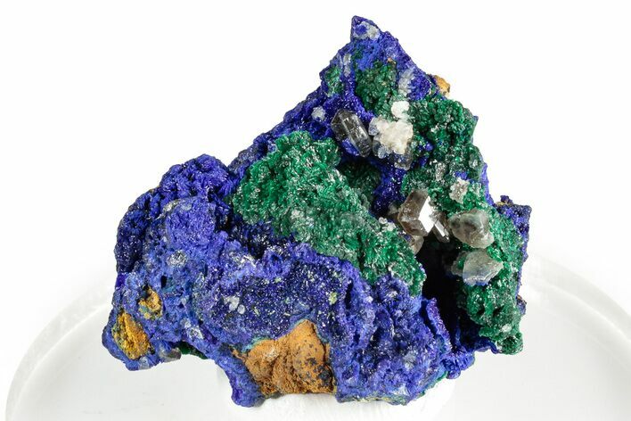 Cerussite and Sparkling Azurite on Green Malachite - Congo #346133
